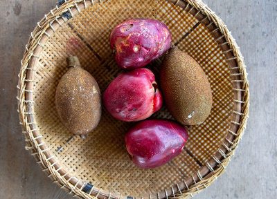 Original farm to table, Amazonas. (vertical)