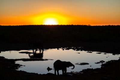 Atardecer en Namibia – Etosha, Namibia