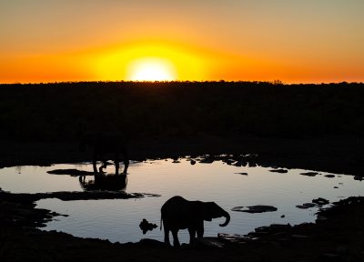 Atardecer en Namibia – Etosha, Namibia