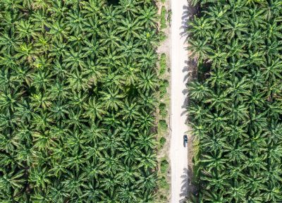 Textura tica – Pacífico Central, Costa Rica